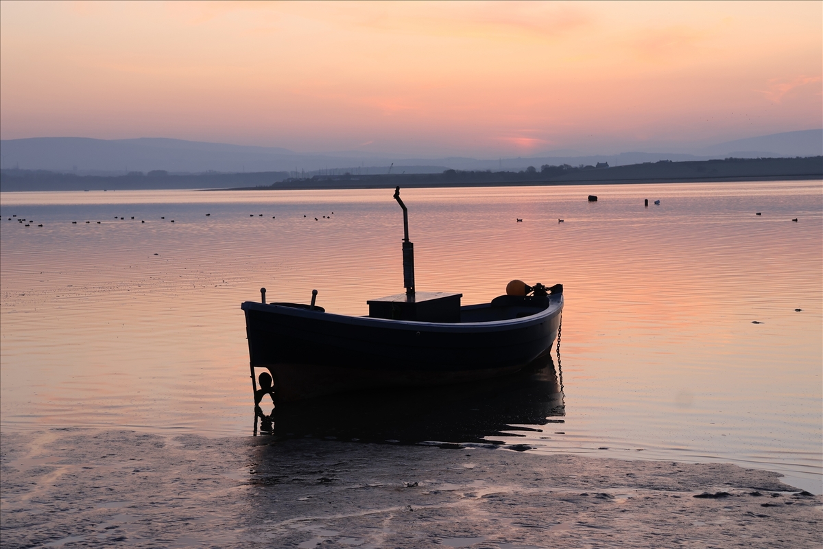 Before Sunrise - Alan Bargh